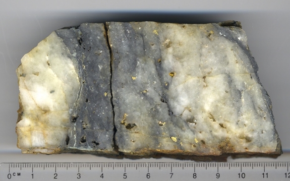 Goldrich Mining Chandalar Lode Mineralization