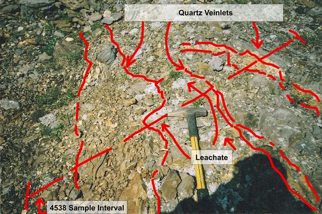 Goldrich Mining Chandalar Gold District Prospects Aurora